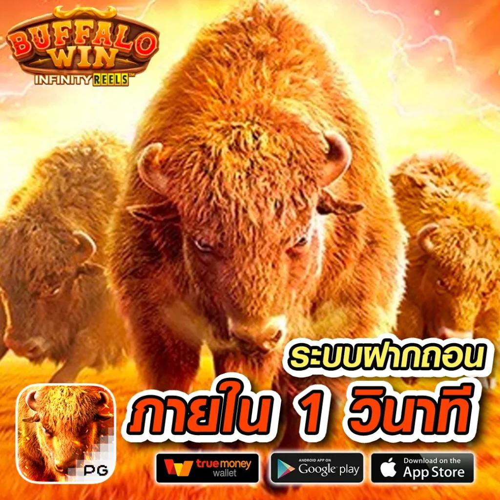 คู คโยฮวาน คาสิโนใหม่ล่าสุด รวมเกมสุดมันส์ 2024