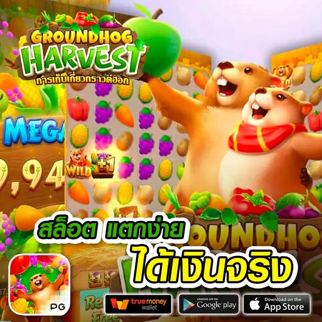 เดอะฟาส คาสิโนออนไลน์ ระบบทันสมัย พร้อมโปรโมชั่นดีในไทย